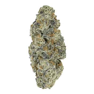 Pistol and Paris Perma Fried Flower - Perma Fried Dried Flower