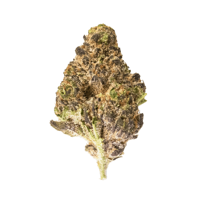3Saints Frosted Lemons Flower - Frosted Lemons Dried Flower