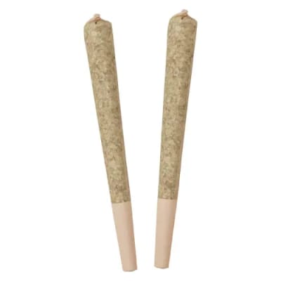 Standard Issue Infused Pre-rolls - Grape 2 x 0.5g Distillate Infused Pre-Rolls