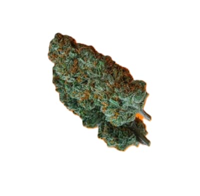 Soar C99 Haze Flower - C99 Haze 7g Dried Flower