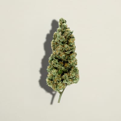 Pure Sunfarms Cherry Tang Flower - Cherry Tang 7g Dried Flower