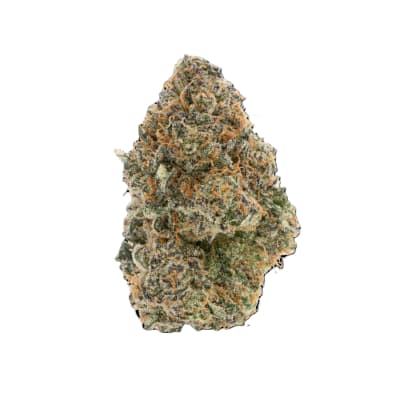 1964 Tropicanna Flower - Tropicanna 7g Dried Flower