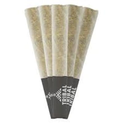 Tribal Pre-rolls - Gran Turismo 5 x 0.5g Pre-Rolls