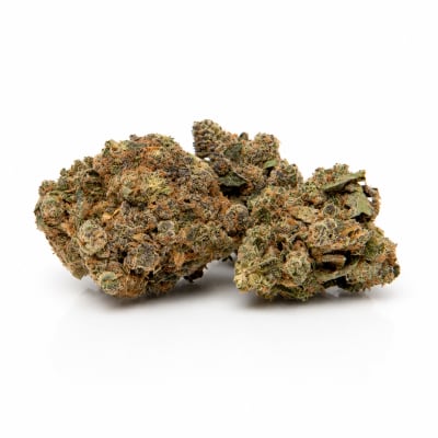 Space Race - SPACE GOBLINS - Sativa