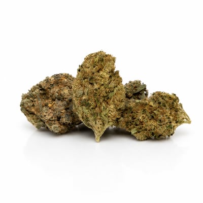 Space Race - HOUSTON'S PROBLEM - Sativa