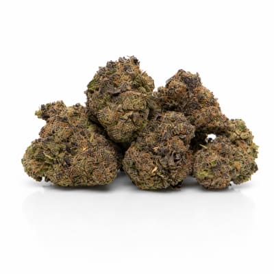 Space Race - MISSION CONTROL - Indica