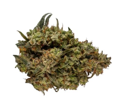 CBD Runtz Hybrid Flower