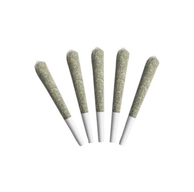 Choklit Park Pre-rolls - Lamb's Bread 5 x 0.5g Pre-Rolls