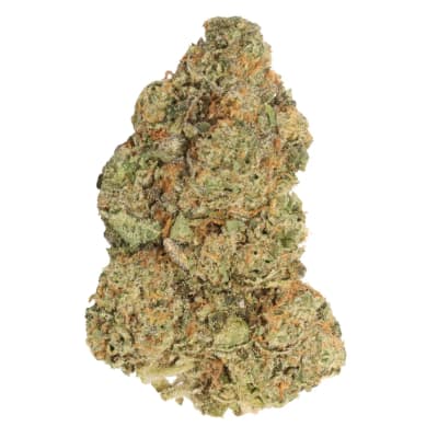 M.TAI X JUNGLE CAKE LTO - 3.5