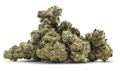 Dark Moon Smalls - 3.5 - 3.5g in Penticton