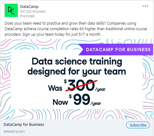 Datacamp - LinkedIn Ad 1.png