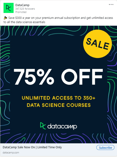 Datacamp - LinkedIn Ad 2.png