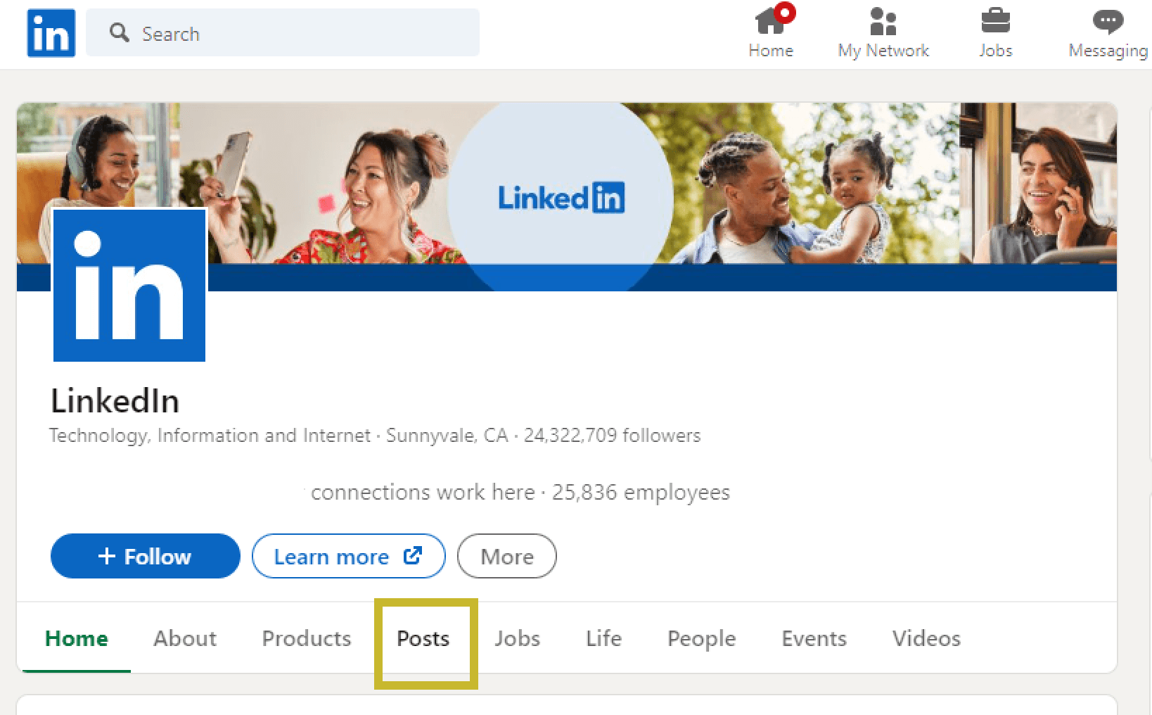 LinkedIn company page posts