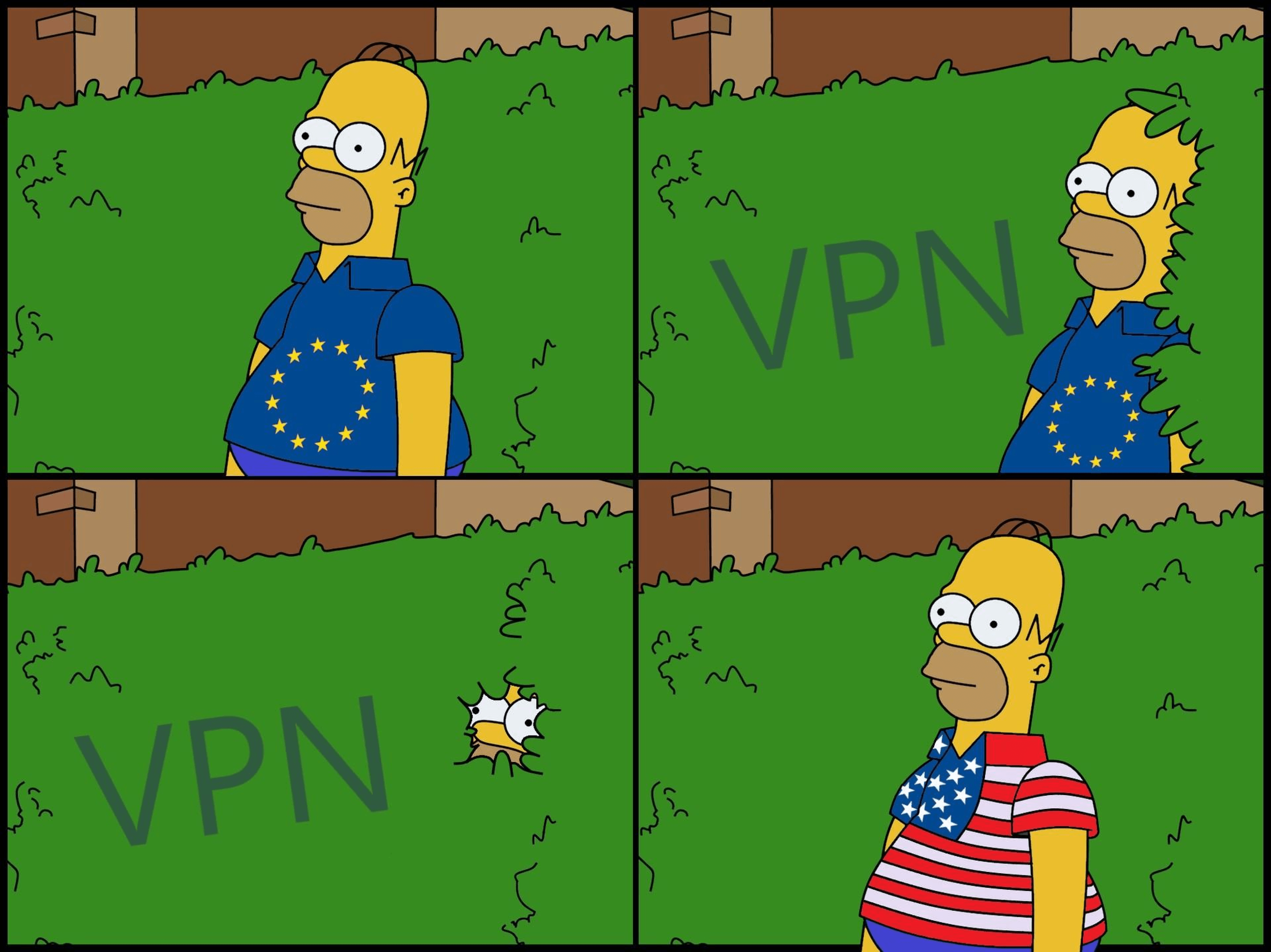 Homer Simpson VPN Meme