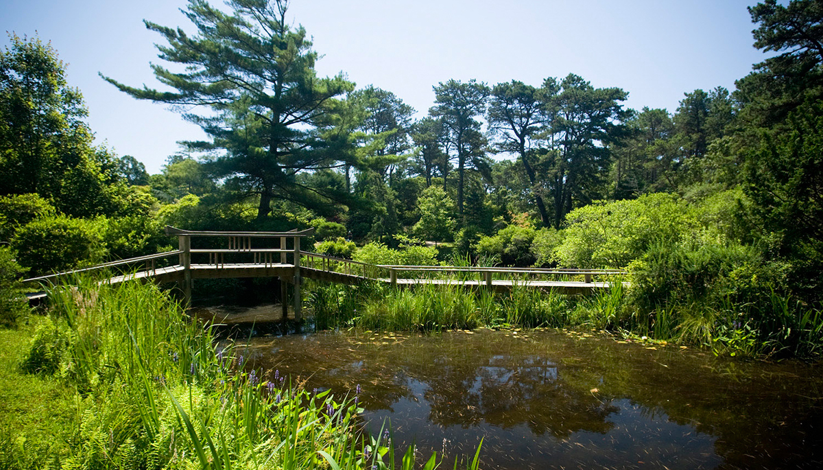 Zen out on Chappaquiddick Island at Martha’s Vineyard