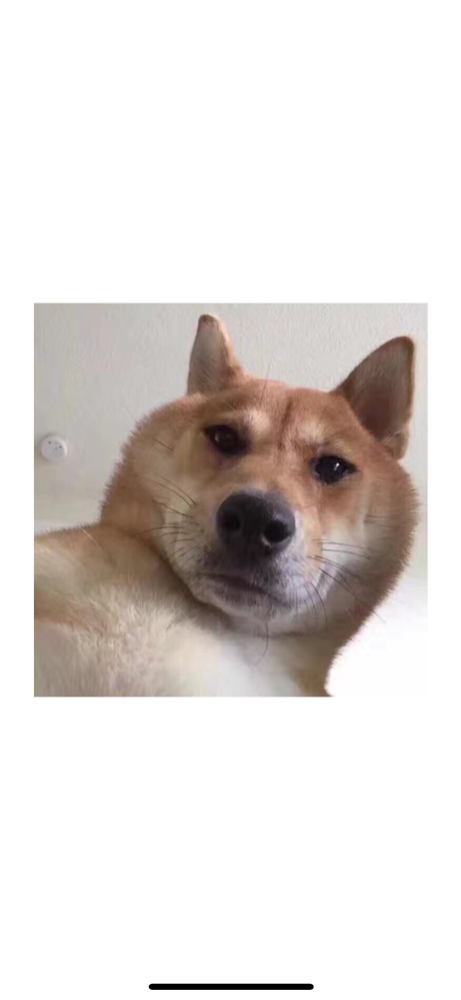 0B27A893-9F32-4591-88C1-DEACA28261C1.png