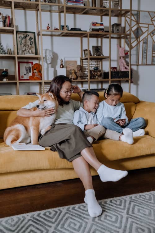 mom sitting on couch with dog and toddlers