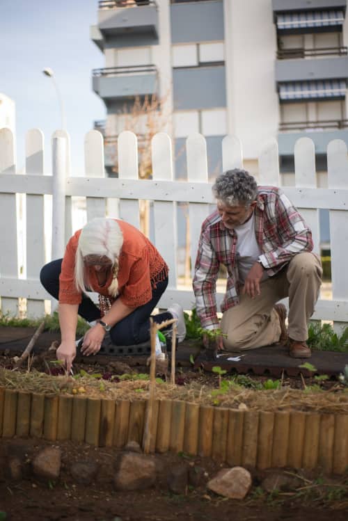 older couple gardening