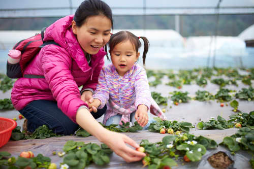 Mother gardening with toddler