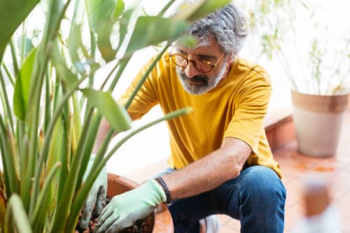 older man gardening