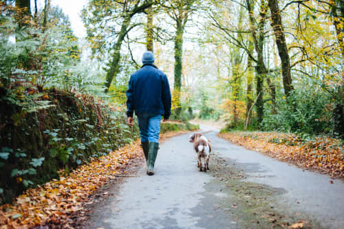 Man and dog waling outside