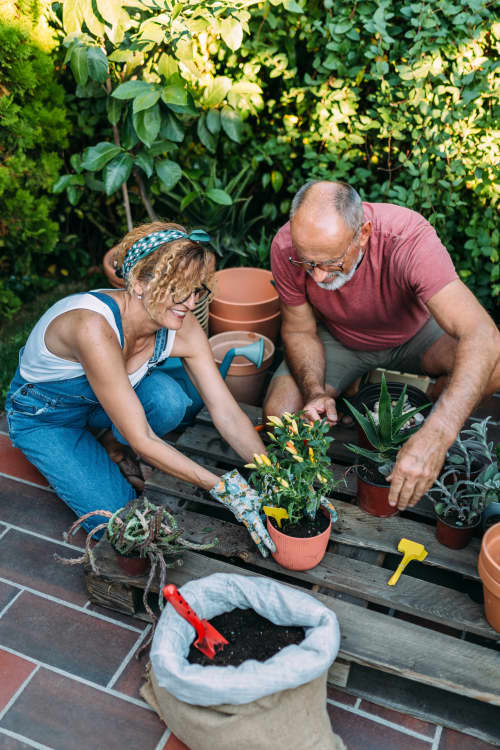 older couple gardening