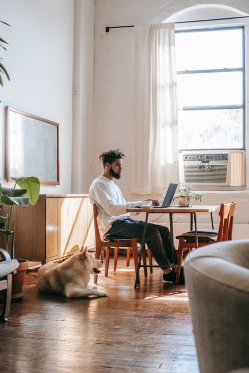 man working on laptop with dog