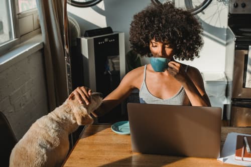 Woman sitting at laptop petting dog