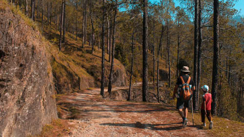 father and son hiking