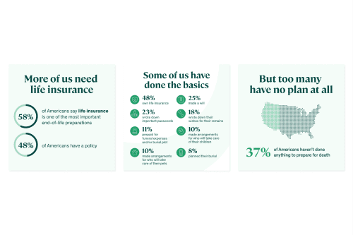 infographic statistics