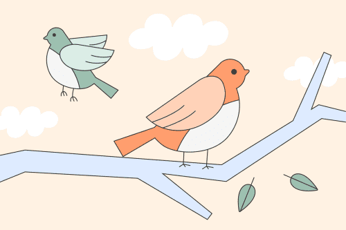 two birds