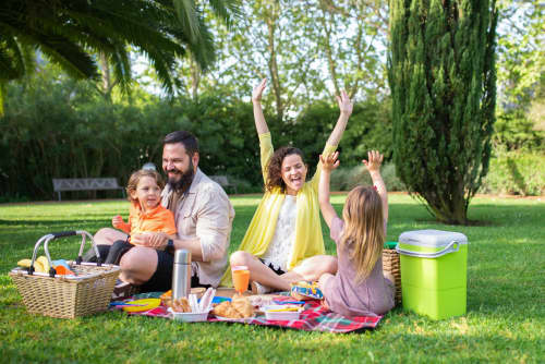 family having a picnic in the park