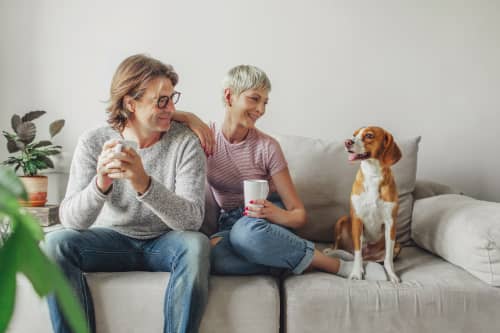 Life Insurance Dividends