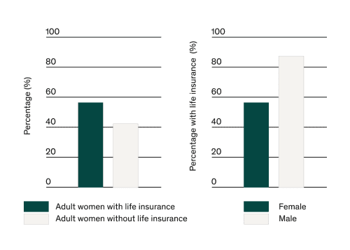 43 percent of adult women have no life insurance. 