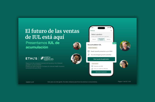 Agent Training (Spanish)