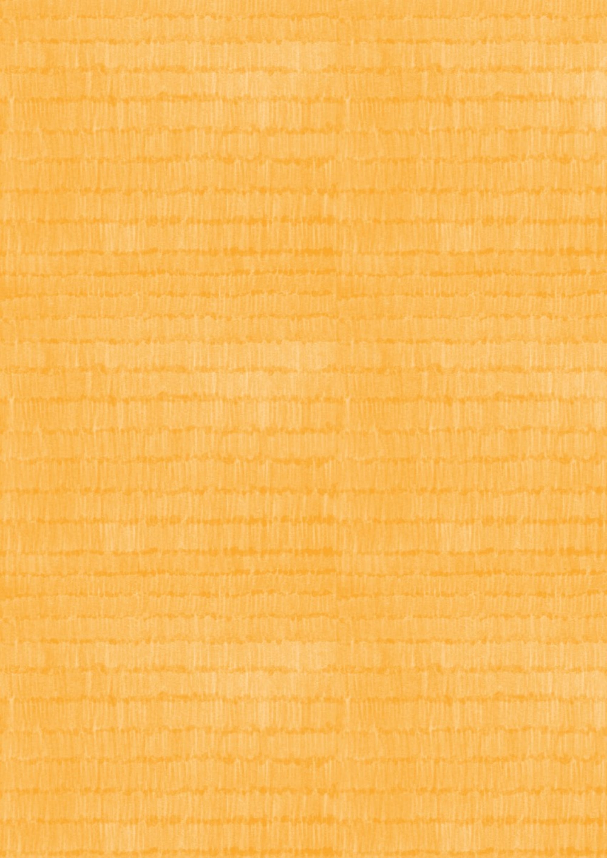 Artist cover photo