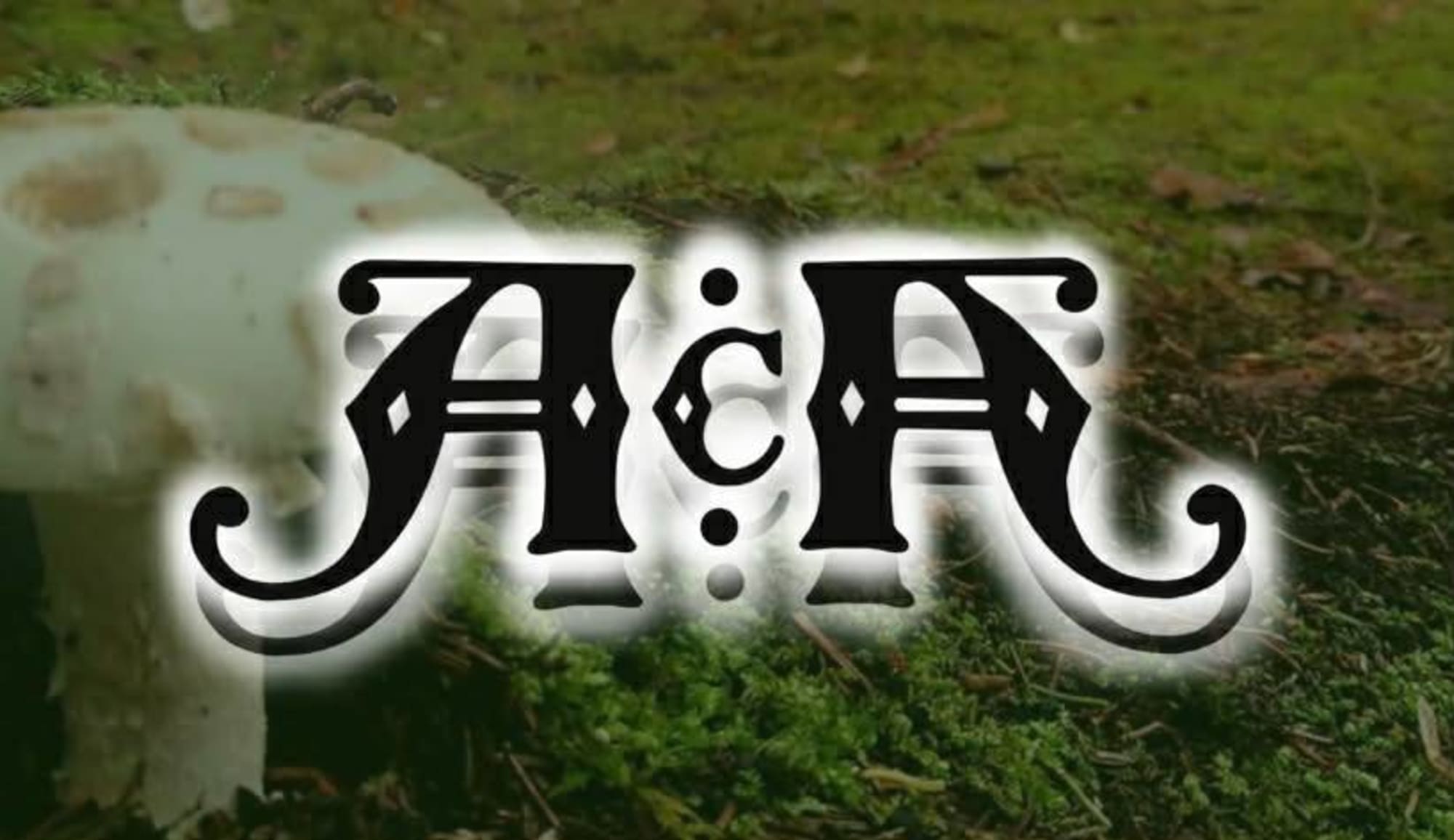 Artist cover photo