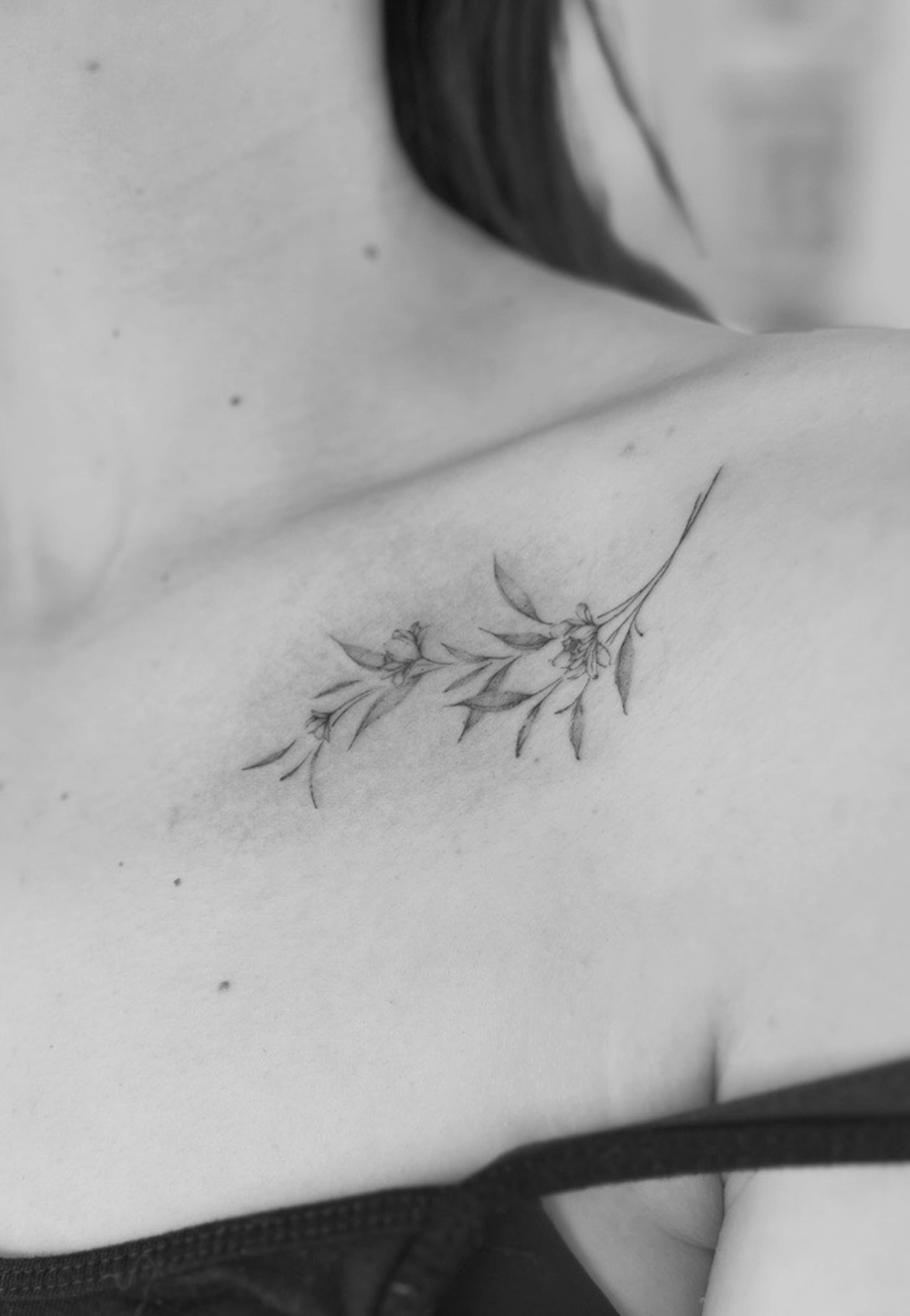 Artist cover photo