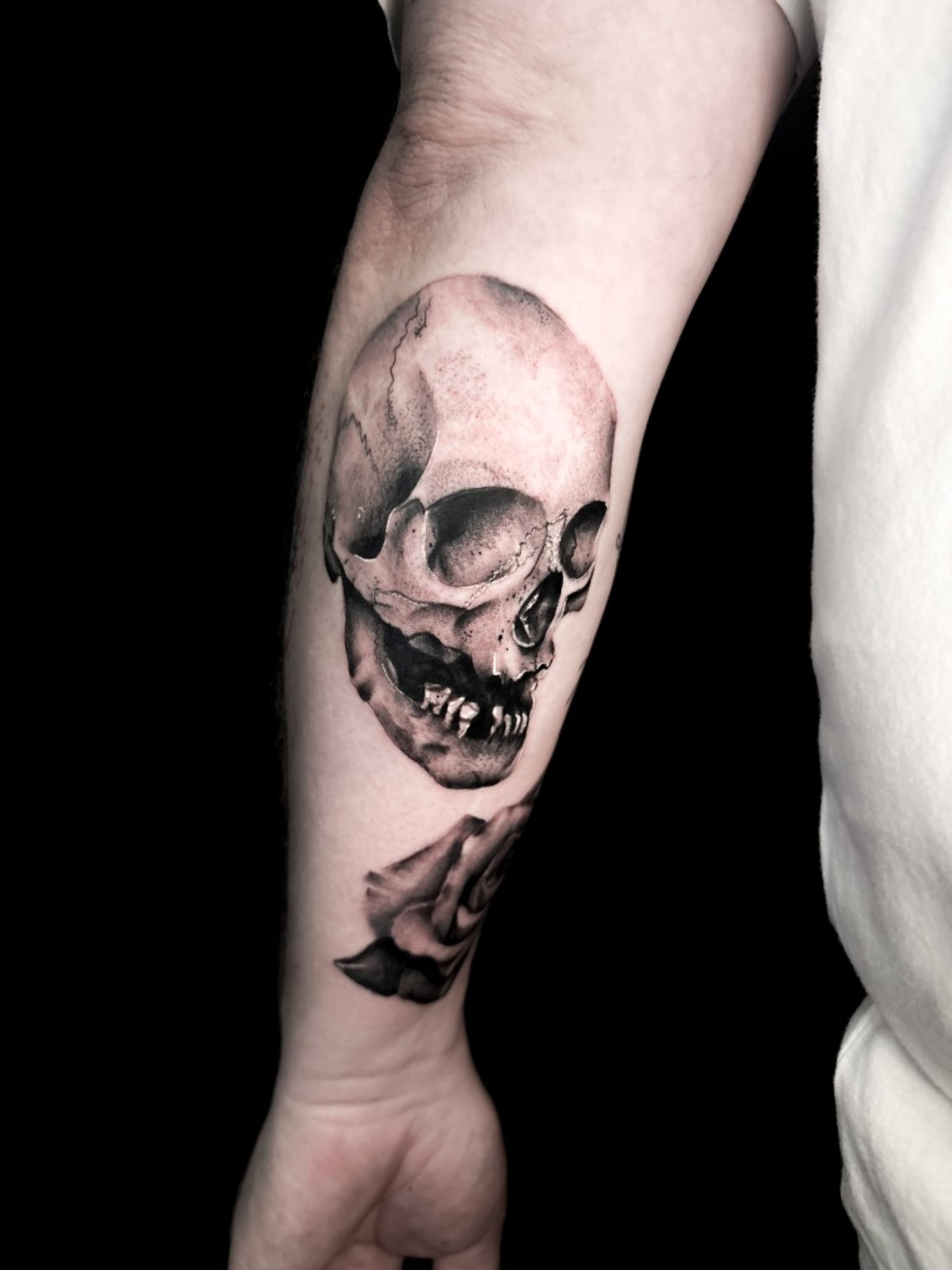 Artist cover photo
