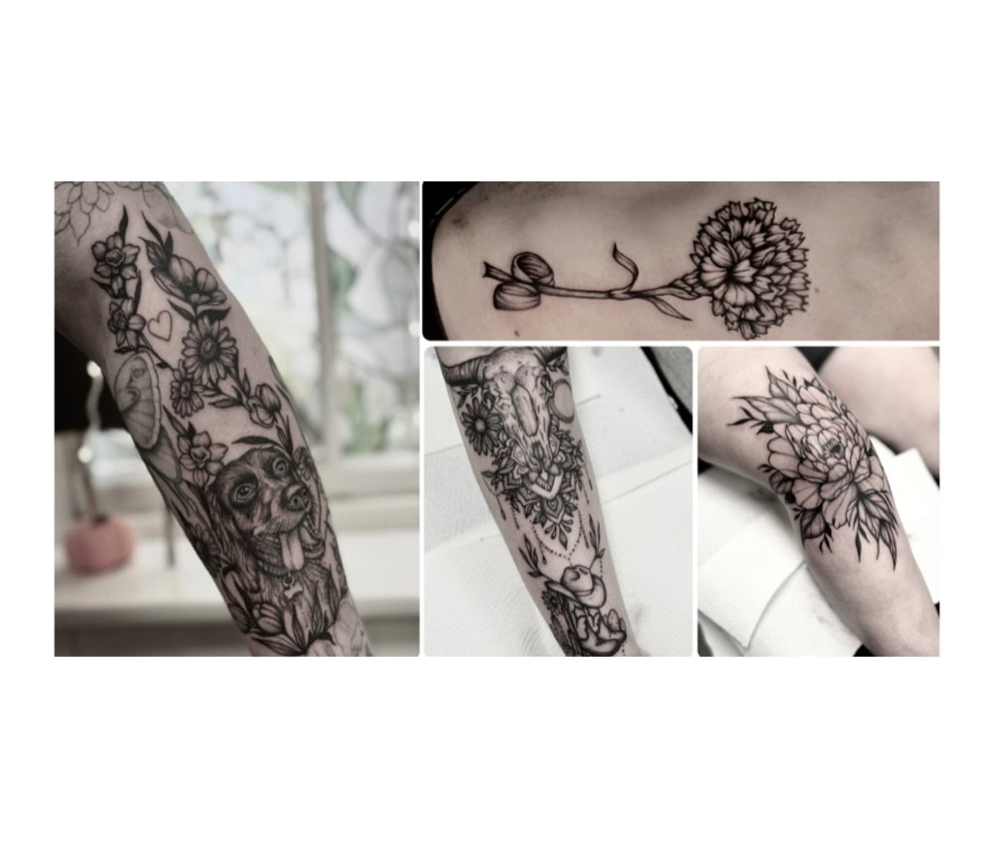 Artist cover photo