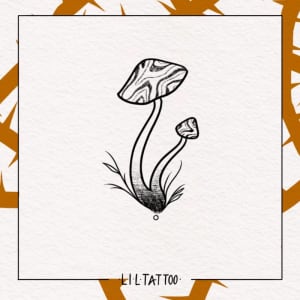 Image of Wavy mushrooms