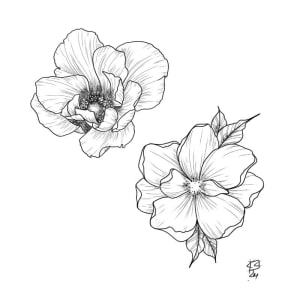 Image of Soft Florals