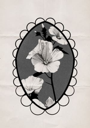 Image of Framed florals