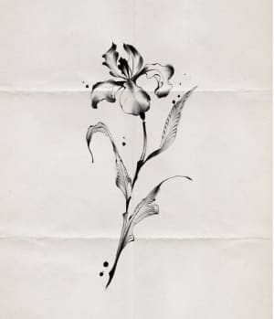 Image of Inky Iris 2