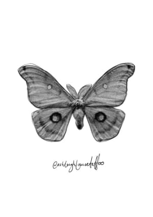 Image of Micro realism moth 