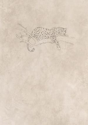 Image of Cheetah chilling 