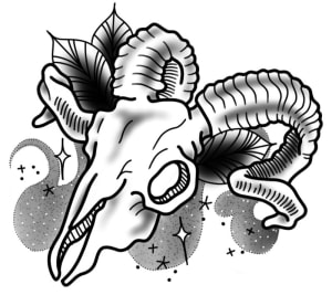 Image of Ram skull - 3”