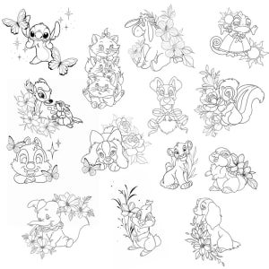 Image of disney flash