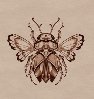 Image of Crystal beetle 