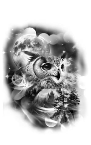Image of Owl